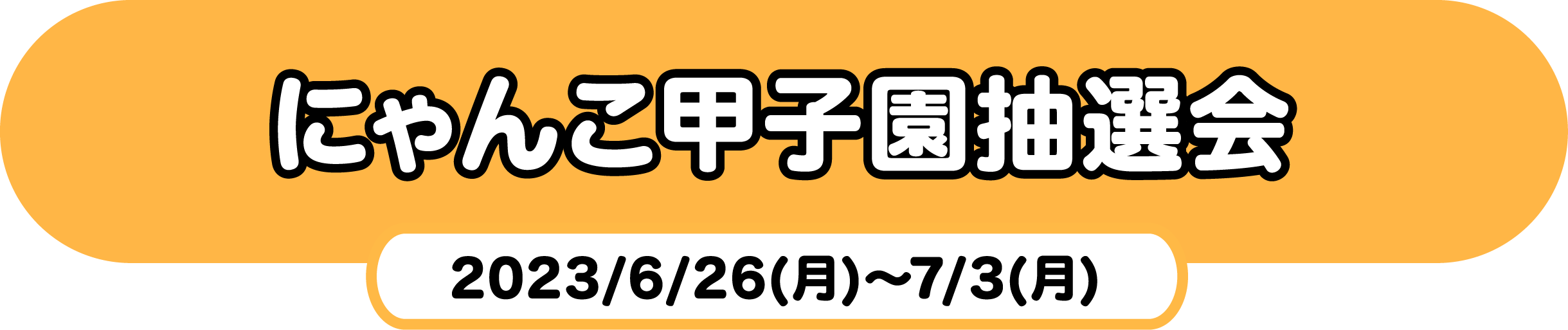 にゃんこ甲子園抽選会