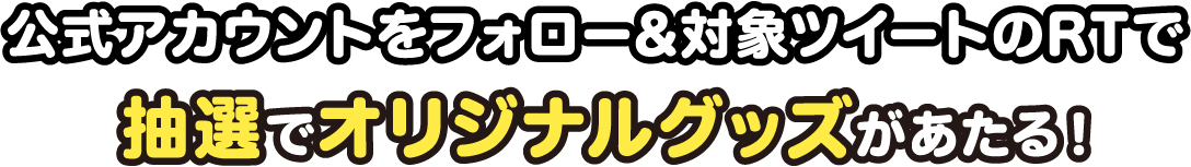 キャンペーン説明